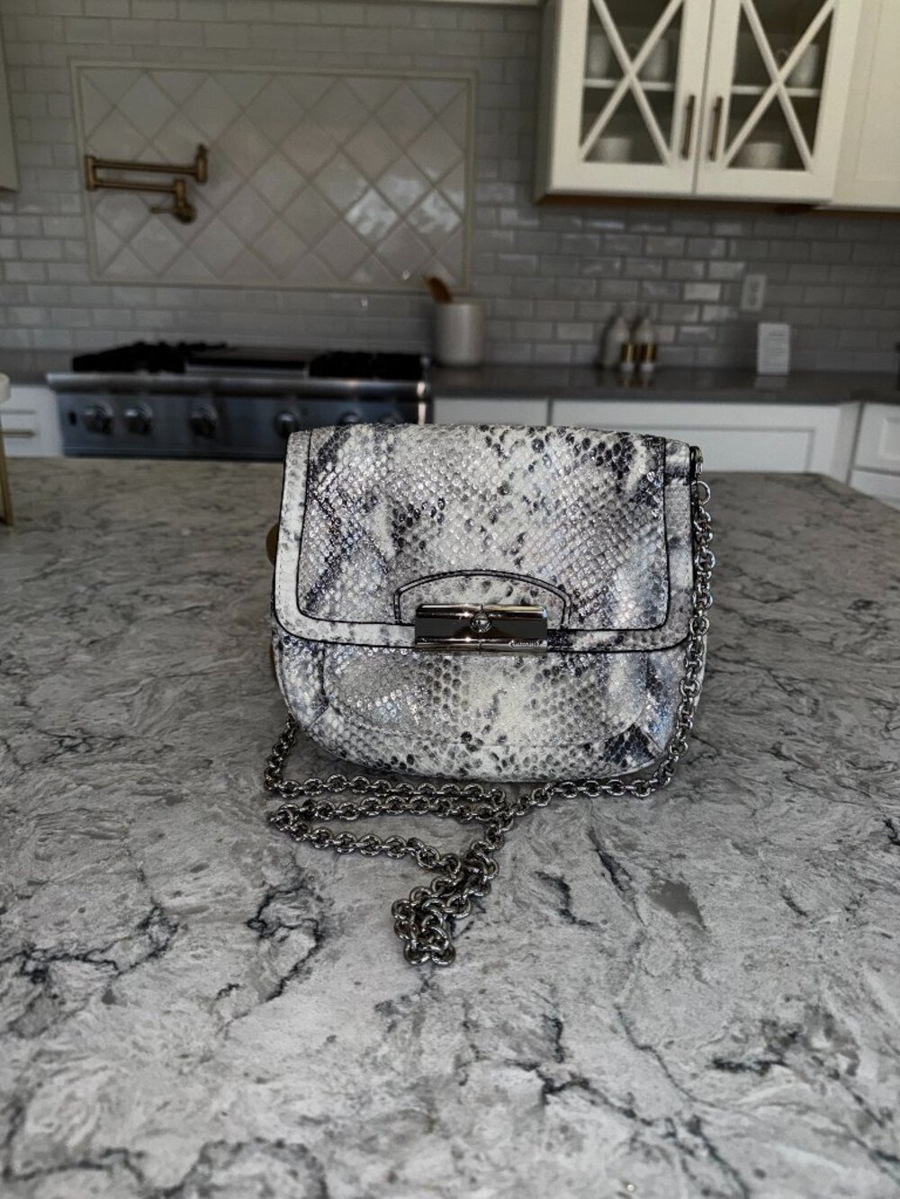 Coach Shiny White Snakeskin Crossbody Purse